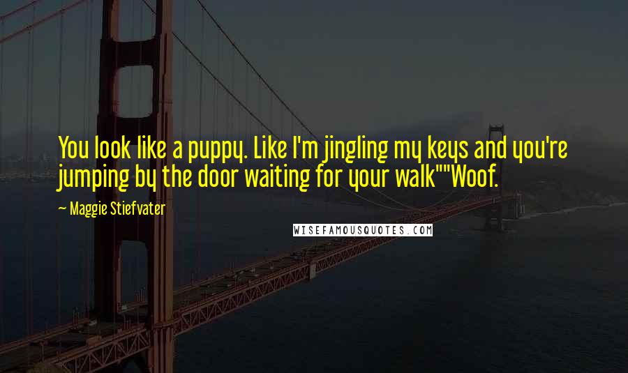 Maggie Stiefvater Quotes: You look like a puppy. Like I'm jingling my keys and you're jumping by the door waiting for your walk""Woof.