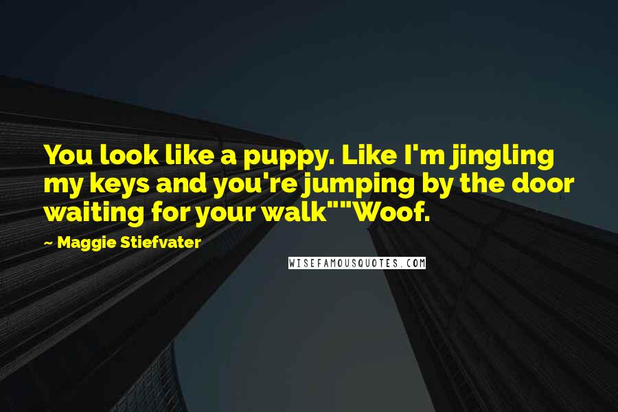 Maggie Stiefvater Quotes: You look like a puppy. Like I'm jingling my keys and you're jumping by the door waiting for your walk""Woof.