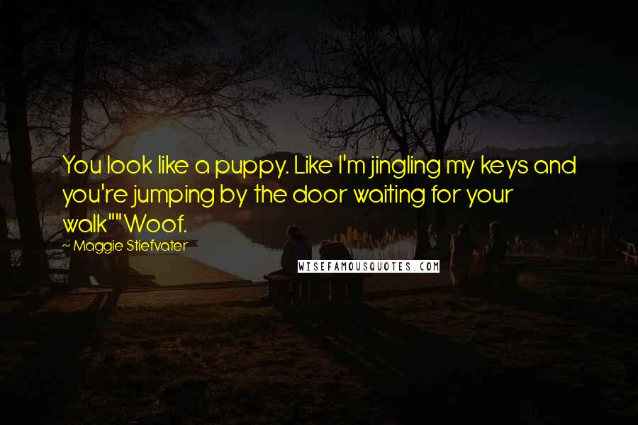 Maggie Stiefvater Quotes: You look like a puppy. Like I'm jingling my keys and you're jumping by the door waiting for your walk""Woof.