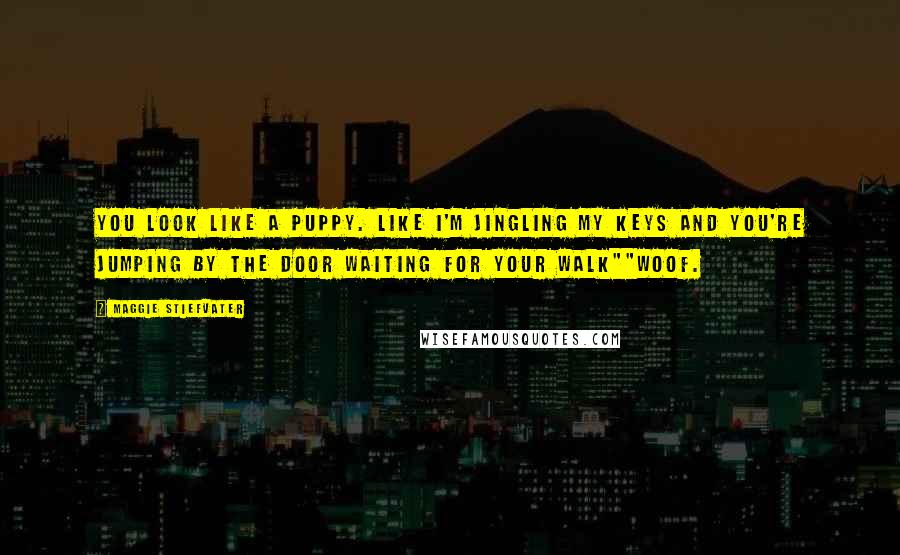 Maggie Stiefvater Quotes: You look like a puppy. Like I'm jingling my keys and you're jumping by the door waiting for your walk""Woof.