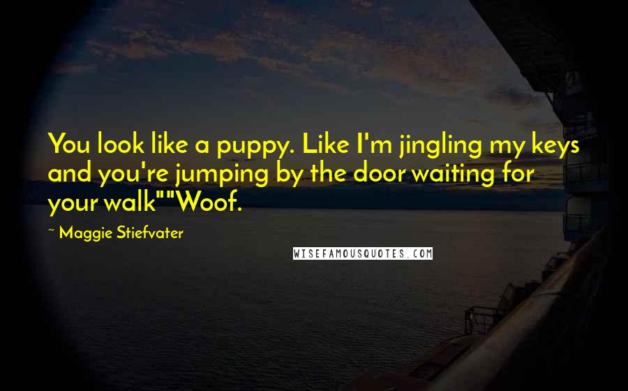Maggie Stiefvater Quotes: You look like a puppy. Like I'm jingling my keys and you're jumping by the door waiting for your walk""Woof.