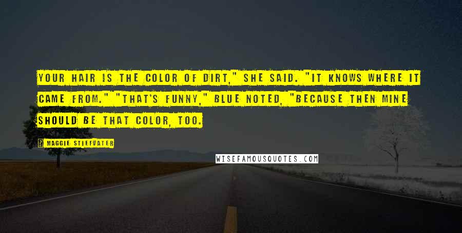 Maggie Stiefvater Quotes: Your hair is the color of dirt," she said. "It knows where it came from." "That's funny," Blue noted, "because then mine should be that color, too.