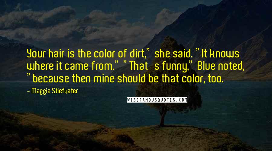 Maggie Stiefvater Quotes: Your hair is the color of dirt," she said. "It knows where it came from." "That's funny," Blue noted, "because then mine should be that color, too.