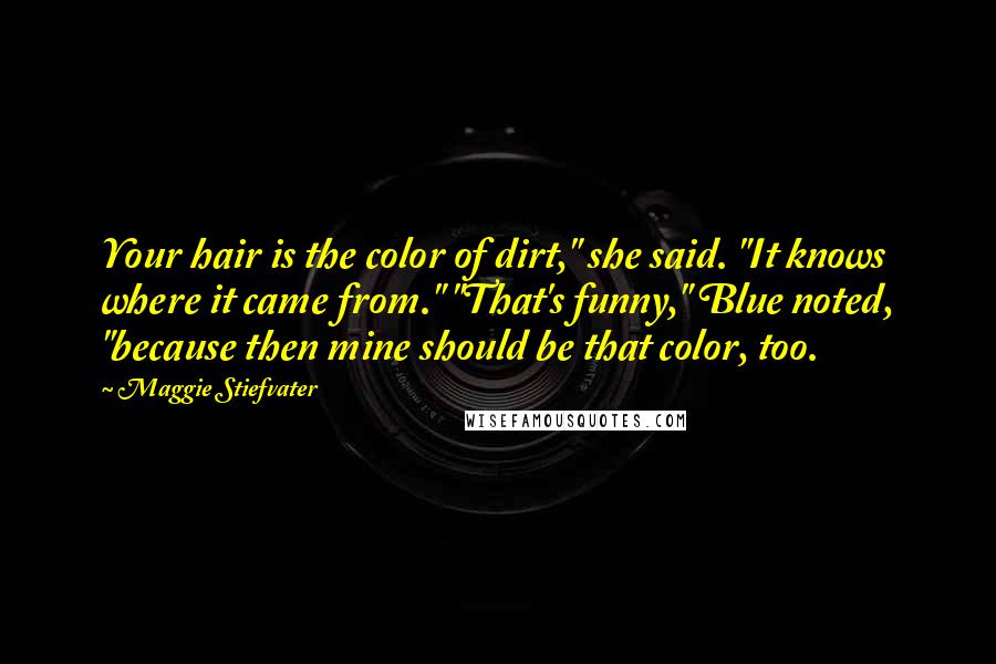 Maggie Stiefvater Quotes: Your hair is the color of dirt," she said. "It knows where it came from." "That's funny," Blue noted, "because then mine should be that color, too.