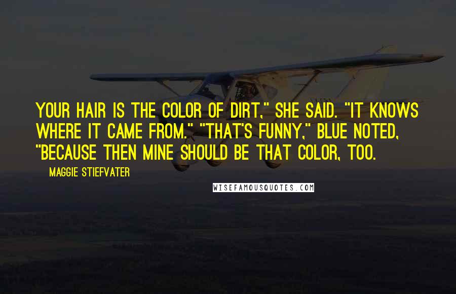 Maggie Stiefvater Quotes: Your hair is the color of dirt," she said. "It knows where it came from." "That's funny," Blue noted, "because then mine should be that color, too.