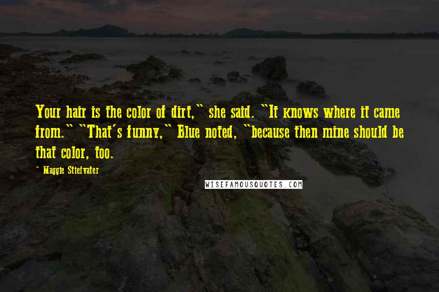 Maggie Stiefvater Quotes: Your hair is the color of dirt," she said. "It knows where it came from." "That's funny," Blue noted, "because then mine should be that color, too.