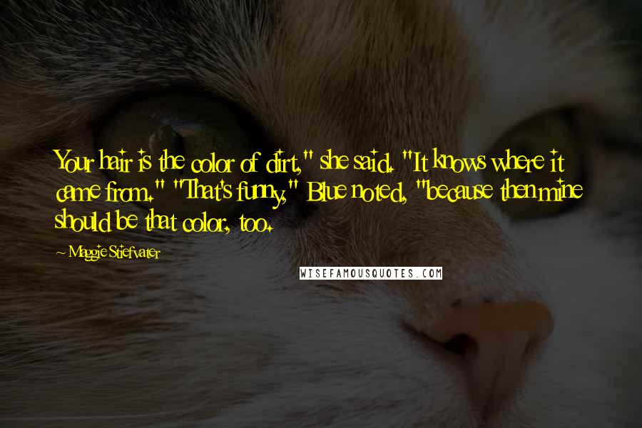 Maggie Stiefvater Quotes: Your hair is the color of dirt," she said. "It knows where it came from." "That's funny," Blue noted, "because then mine should be that color, too.