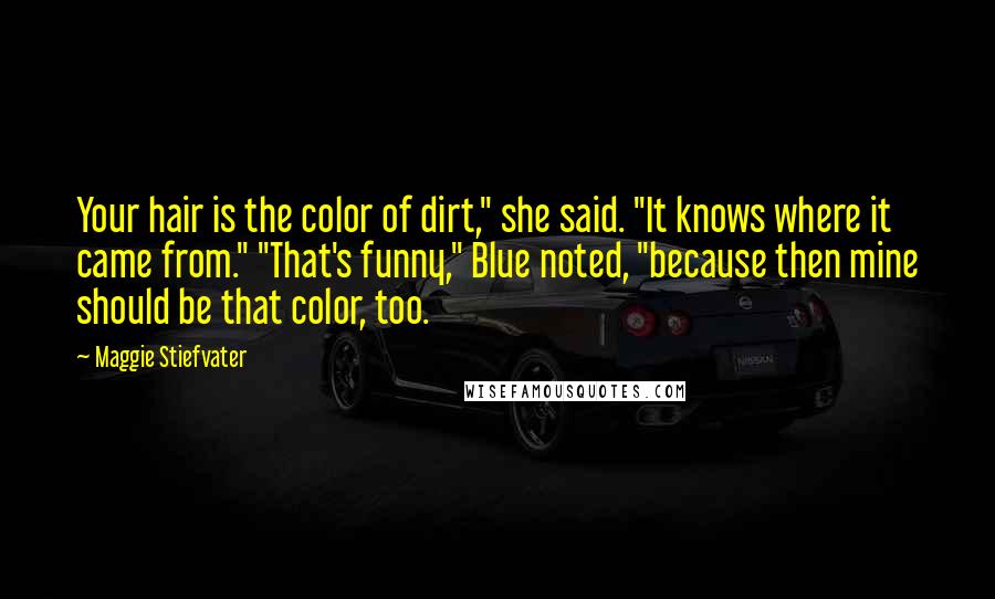 Maggie Stiefvater Quotes: Your hair is the color of dirt," she said. "It knows where it came from." "That's funny," Blue noted, "because then mine should be that color, too.