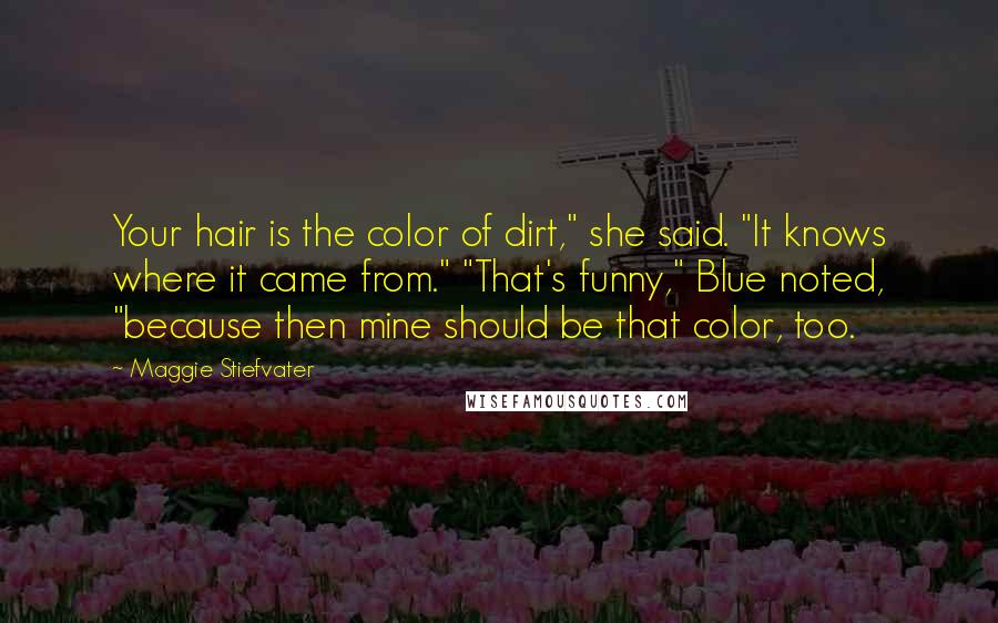 Maggie Stiefvater Quotes: Your hair is the color of dirt," she said. "It knows where it came from." "That's funny," Blue noted, "because then mine should be that color, too.