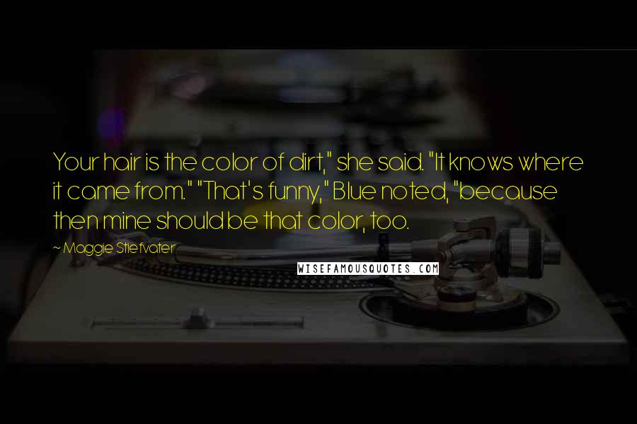 Maggie Stiefvater Quotes: Your hair is the color of dirt," she said. "It knows where it came from." "That's funny," Blue noted, "because then mine should be that color, too.