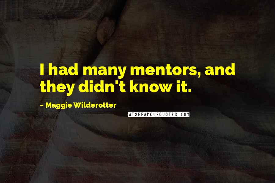 Maggie Wilderotter Quotes: I had many mentors, and they didn't know it.