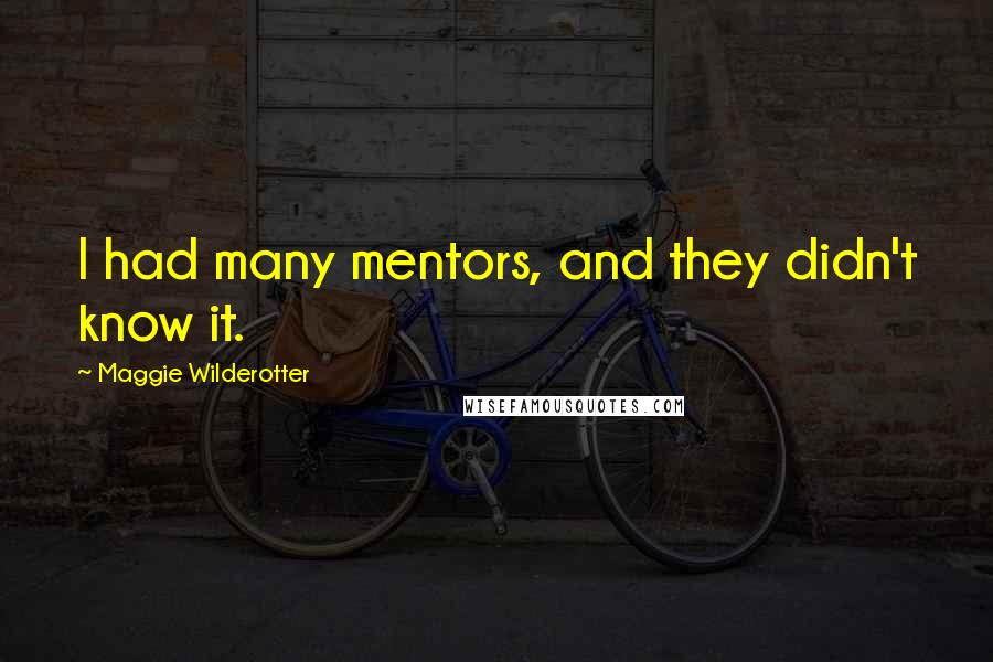 Maggie Wilderotter Quotes: I had many mentors, and they didn't know it.