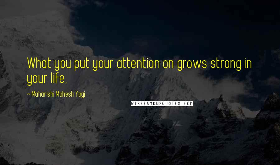 Maharishi Mahesh Yogi Quotes: What you put your attention on grows strong in your life.