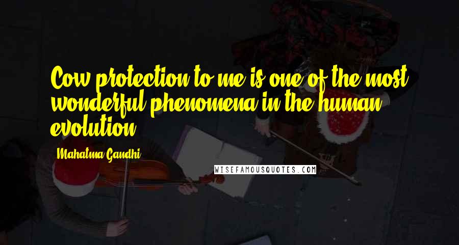 Mahatma Gandhi Quotes: Cow protection to me is one of the most wonderful phenomena in the human evolution.
