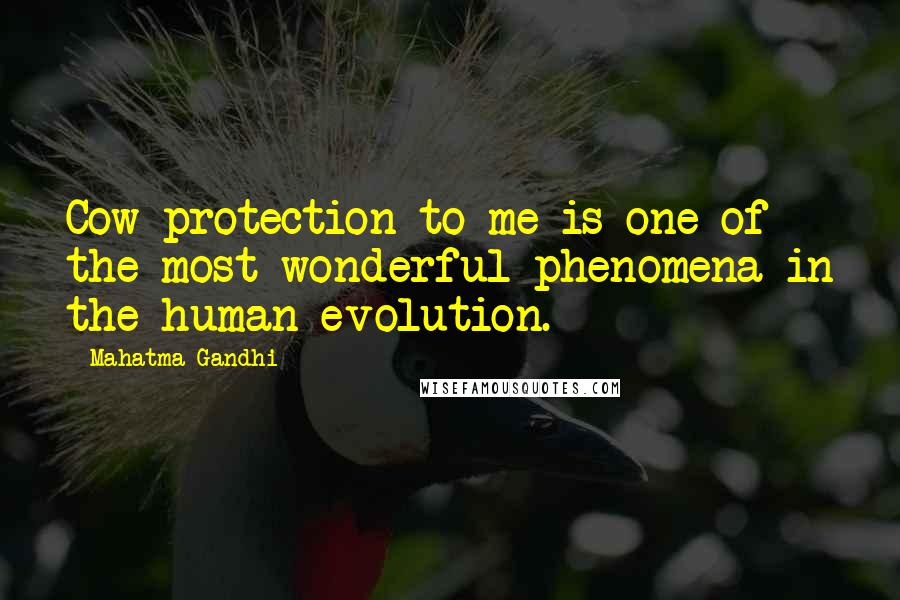 Mahatma Gandhi Quotes: Cow protection to me is one of the most wonderful phenomena in the human evolution.