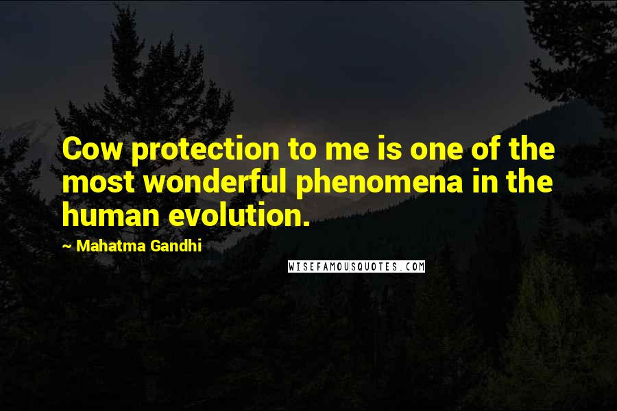Mahatma Gandhi Quotes: Cow protection to me is one of the most wonderful phenomena in the human evolution.