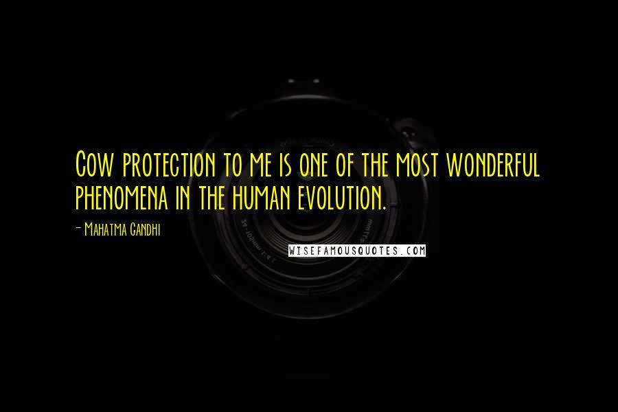 Mahatma Gandhi Quotes: Cow protection to me is one of the most wonderful phenomena in the human evolution.