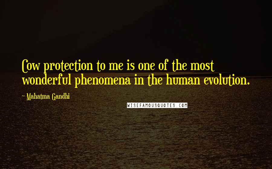 Mahatma Gandhi Quotes: Cow protection to me is one of the most wonderful phenomena in the human evolution.