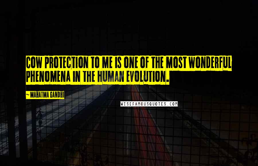 Mahatma Gandhi Quotes: Cow protection to me is one of the most wonderful phenomena in the human evolution.