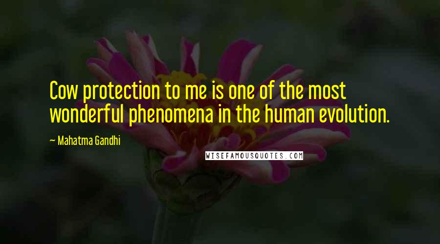 Mahatma Gandhi Quotes: Cow protection to me is one of the most wonderful phenomena in the human evolution.