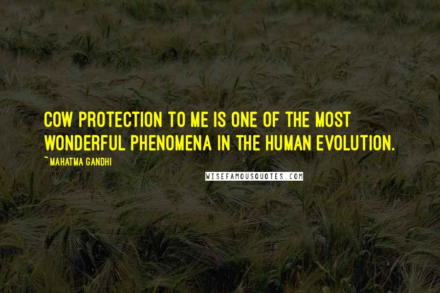 Mahatma Gandhi Quotes: Cow protection to me is one of the most wonderful phenomena in the human evolution.