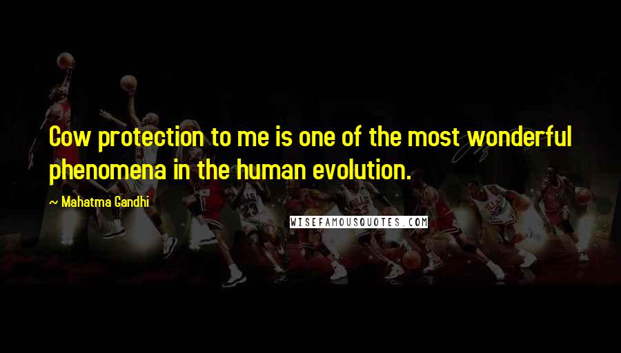Mahatma Gandhi Quotes: Cow protection to me is one of the most wonderful phenomena in the human evolution.