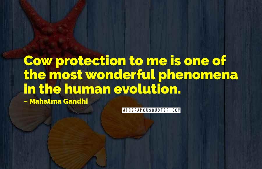 Mahatma Gandhi Quotes: Cow protection to me is one of the most wonderful phenomena in the human evolution.