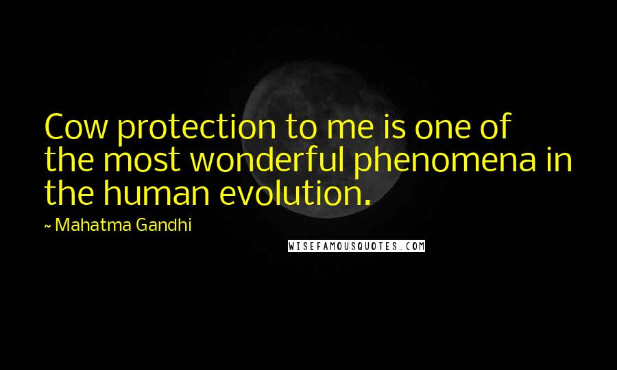 Mahatma Gandhi Quotes: Cow protection to me is one of the most wonderful phenomena in the human evolution.