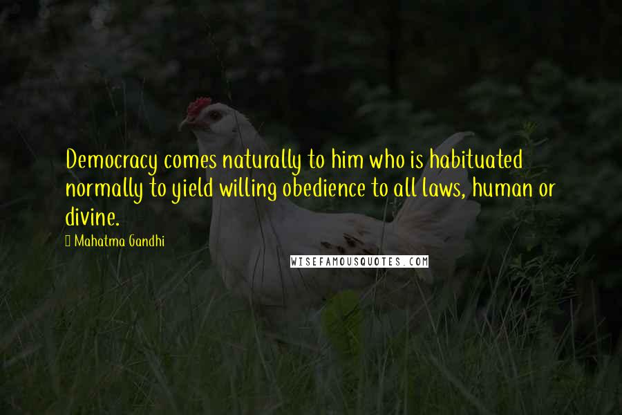 Mahatma Gandhi Quotes: Democracy comes naturally to him who is habituated normally to yield willing obedience to all laws, human or divine.