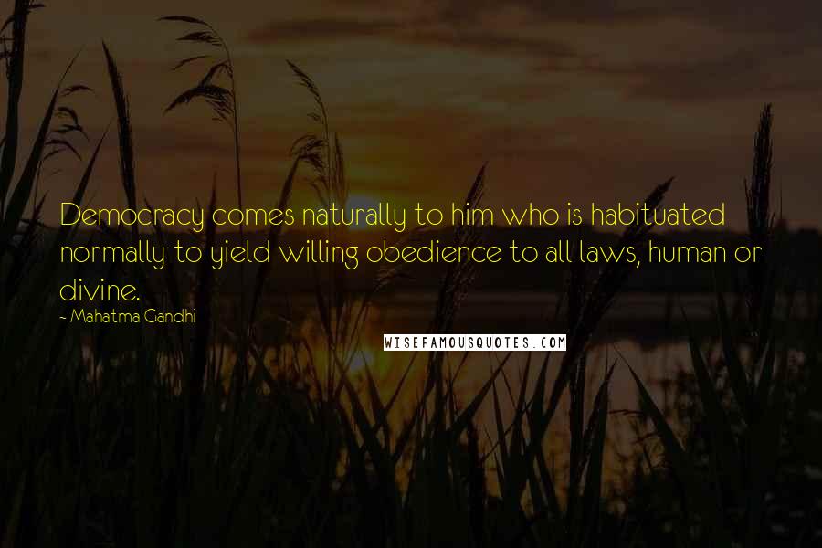 Mahatma Gandhi Quotes: Democracy comes naturally to him who is habituated normally to yield willing obedience to all laws, human or divine.