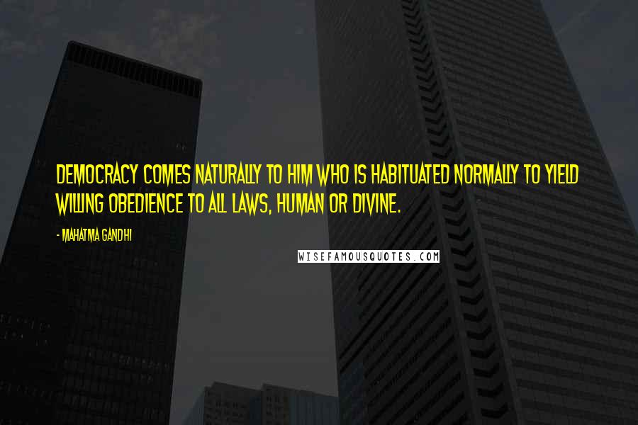 Mahatma Gandhi Quotes: Democracy comes naturally to him who is habituated normally to yield willing obedience to all laws, human or divine.