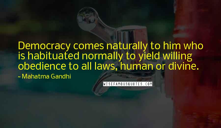 Mahatma Gandhi Quotes: Democracy comes naturally to him who is habituated normally to yield willing obedience to all laws, human or divine.