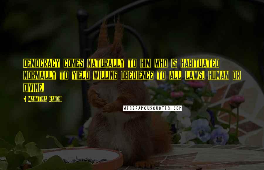 Mahatma Gandhi Quotes: Democracy comes naturally to him who is habituated normally to yield willing obedience to all laws, human or divine.