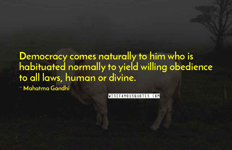 Mahatma Gandhi Quotes: Democracy comes naturally to him who is habituated normally to yield willing obedience to all laws, human or divine.