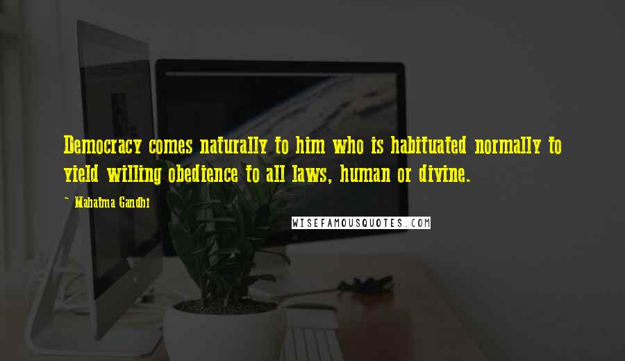 Mahatma Gandhi Quotes: Democracy comes naturally to him who is habituated normally to yield willing obedience to all laws, human or divine.
