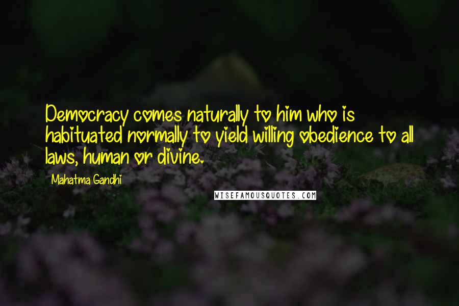 Mahatma Gandhi Quotes: Democracy comes naturally to him who is habituated normally to yield willing obedience to all laws, human or divine.
