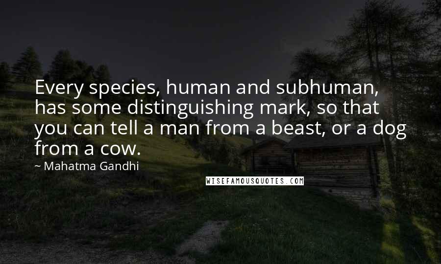 Mahatma Gandhi Quotes: Every species, human and subhuman, has some distinguishing mark, so that you can tell a man from a beast, or a dog from a cow.