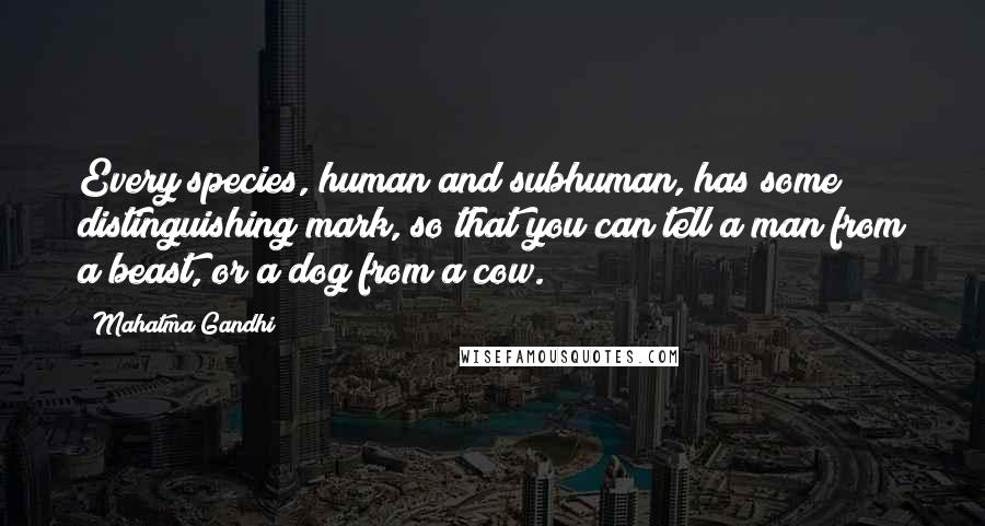 Mahatma Gandhi Quotes: Every species, human and subhuman, has some distinguishing mark, so that you can tell a man from a beast, or a dog from a cow.