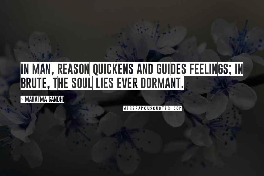 Mahatma Gandhi Quotes: In man, reason quickens and guides feelings; in brute, the soul lies ever dormant.