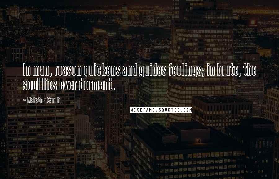 Mahatma Gandhi Quotes: In man, reason quickens and guides feelings; in brute, the soul lies ever dormant.