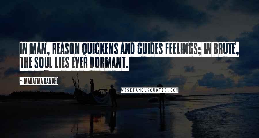 Mahatma Gandhi Quotes: In man, reason quickens and guides feelings; in brute, the soul lies ever dormant.