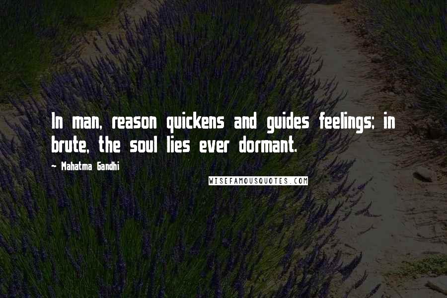 Mahatma Gandhi Quotes: In man, reason quickens and guides feelings; in brute, the soul lies ever dormant.
