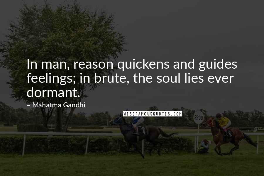 Mahatma Gandhi Quotes: In man, reason quickens and guides feelings; in brute, the soul lies ever dormant.