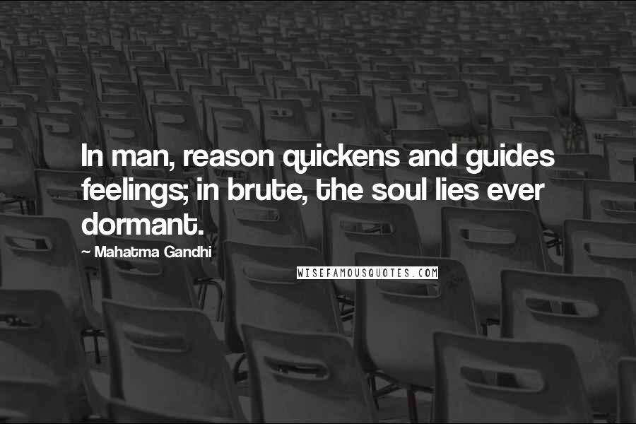 Mahatma Gandhi Quotes: In man, reason quickens and guides feelings; in brute, the soul lies ever dormant.