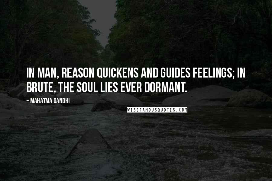 Mahatma Gandhi Quotes: In man, reason quickens and guides feelings; in brute, the soul lies ever dormant.