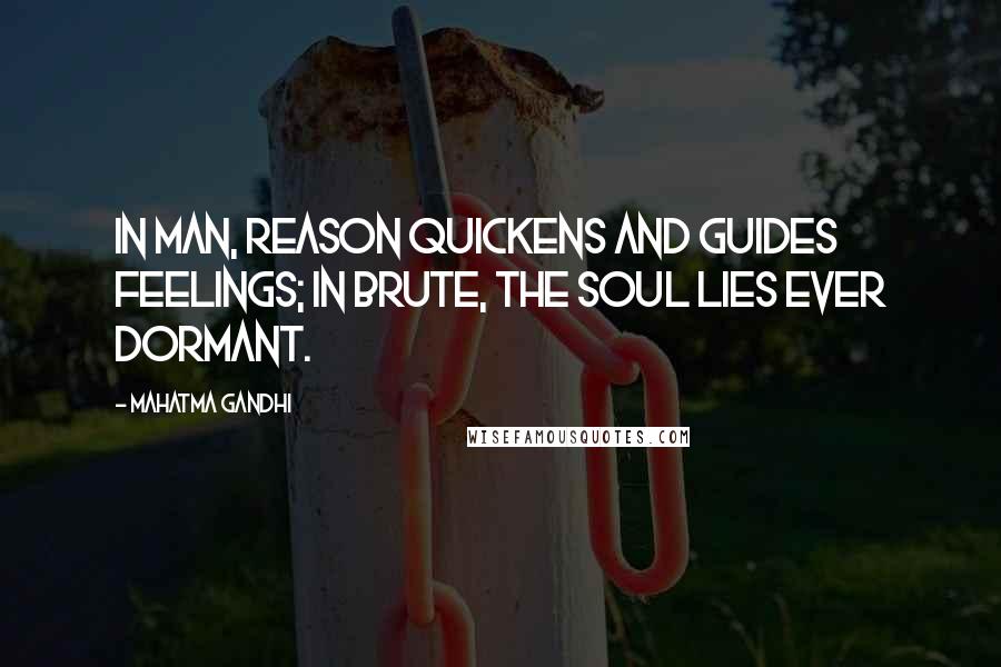 Mahatma Gandhi Quotes: In man, reason quickens and guides feelings; in brute, the soul lies ever dormant.