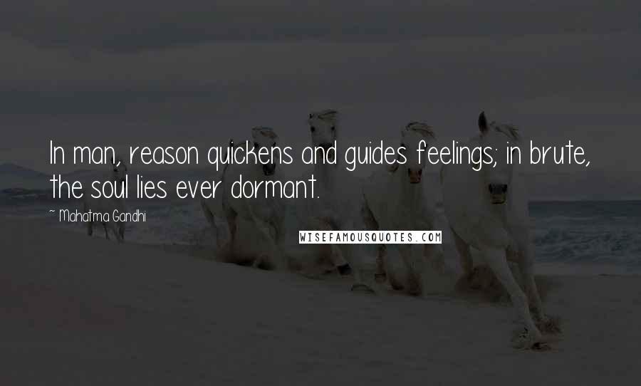 Mahatma Gandhi Quotes: In man, reason quickens and guides feelings; in brute, the soul lies ever dormant.