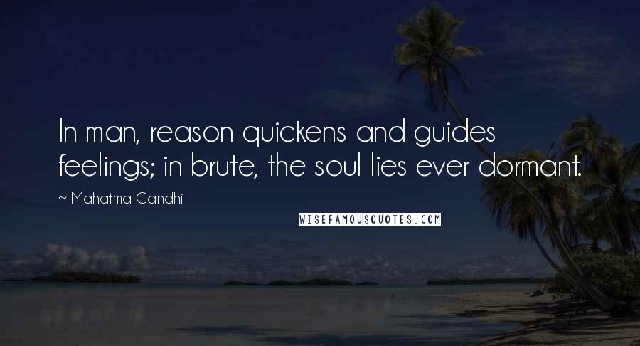 Mahatma Gandhi Quotes: In man, reason quickens and guides feelings; in brute, the soul lies ever dormant.