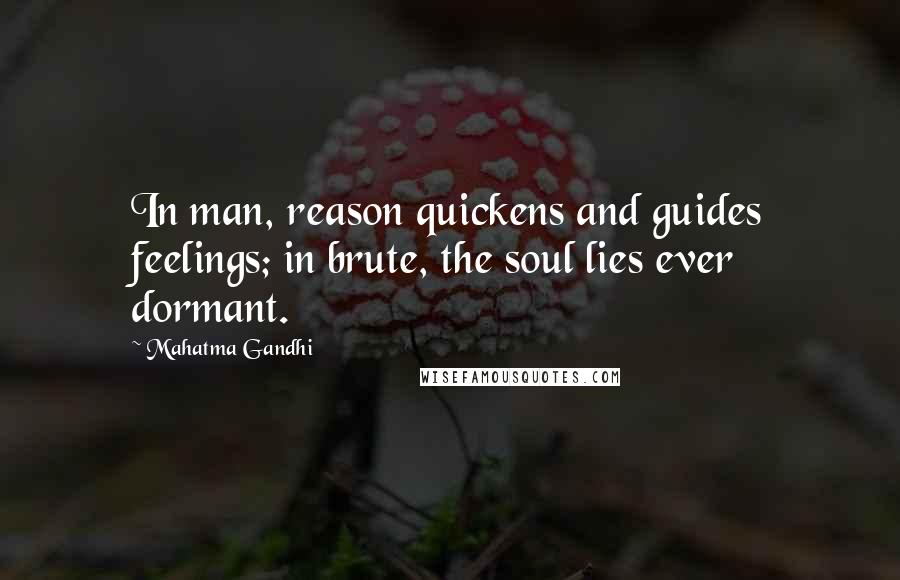 Mahatma Gandhi Quotes: In man, reason quickens and guides feelings; in brute, the soul lies ever dormant.