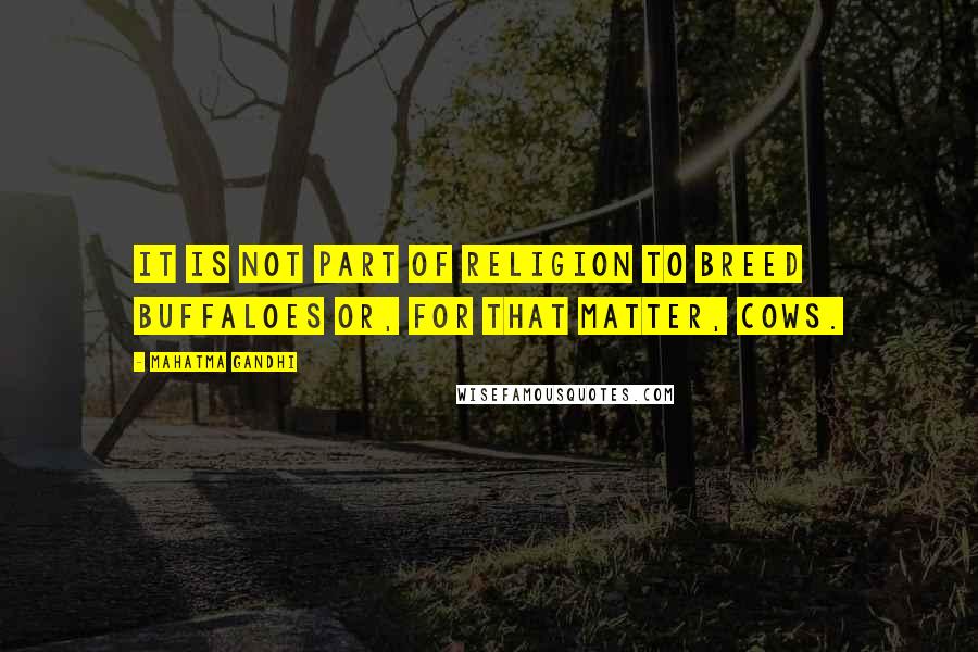 Mahatma Gandhi Quotes: It is not part of religion to breed buffaloes or, for that matter, cows.